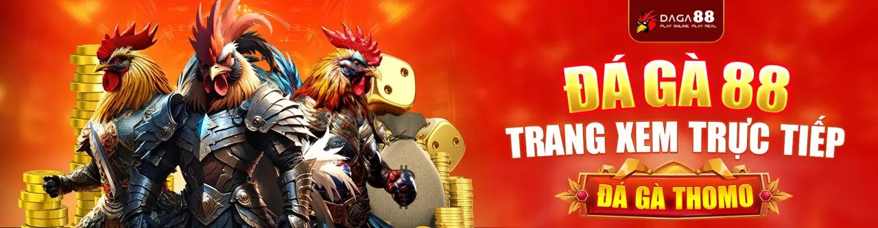 Đá Gà Trực Tuyến Wibo88 Login